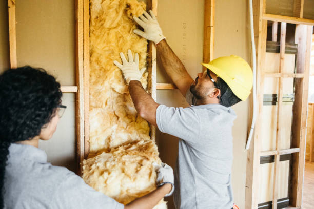Best Home Insulation Services  in Stafford Springs, CT
